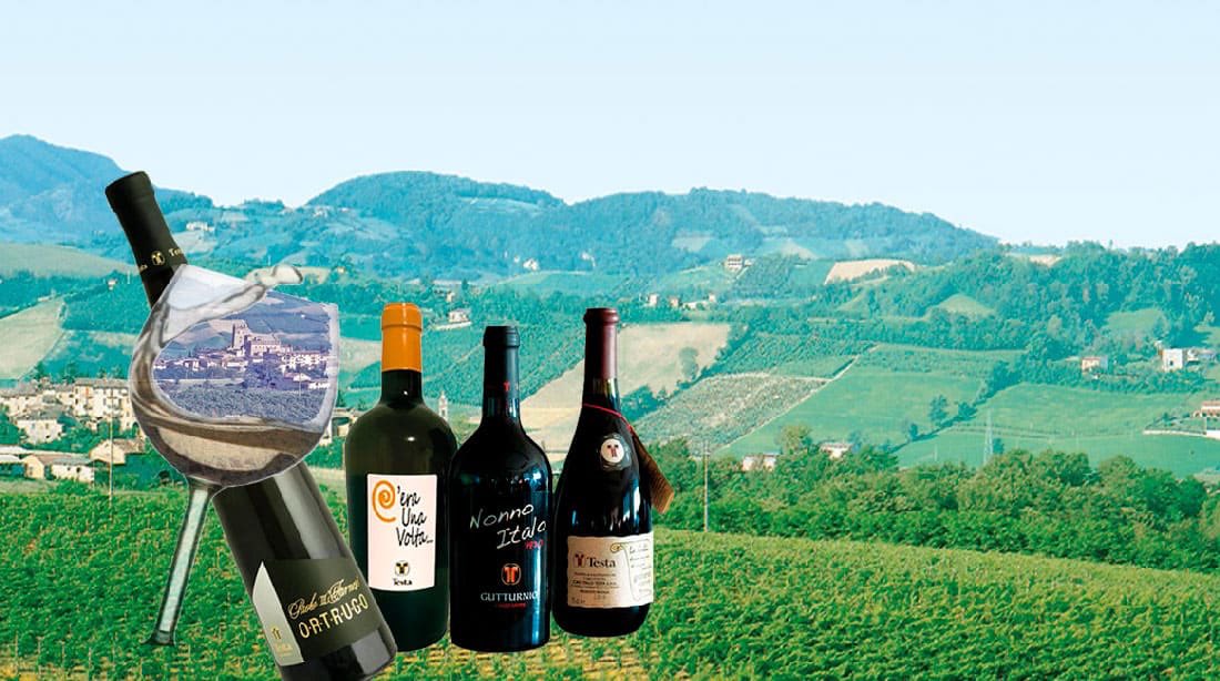 ViniTesta's tweet photo. A casa concediamoci l’emozione di un buon vino a tavola e degustiamolo in compagnia dei nostri cari.🥂
🔸Consegna a domicilio in tutta Italia, con una spesa minima di  120€ ottieni uno sconto del 20% e spedizione gratuita.🚚
👉Entra nel nostro SHOP 
https://t.co/YglI5poZhz https://t.co/0wD9uaJjXk