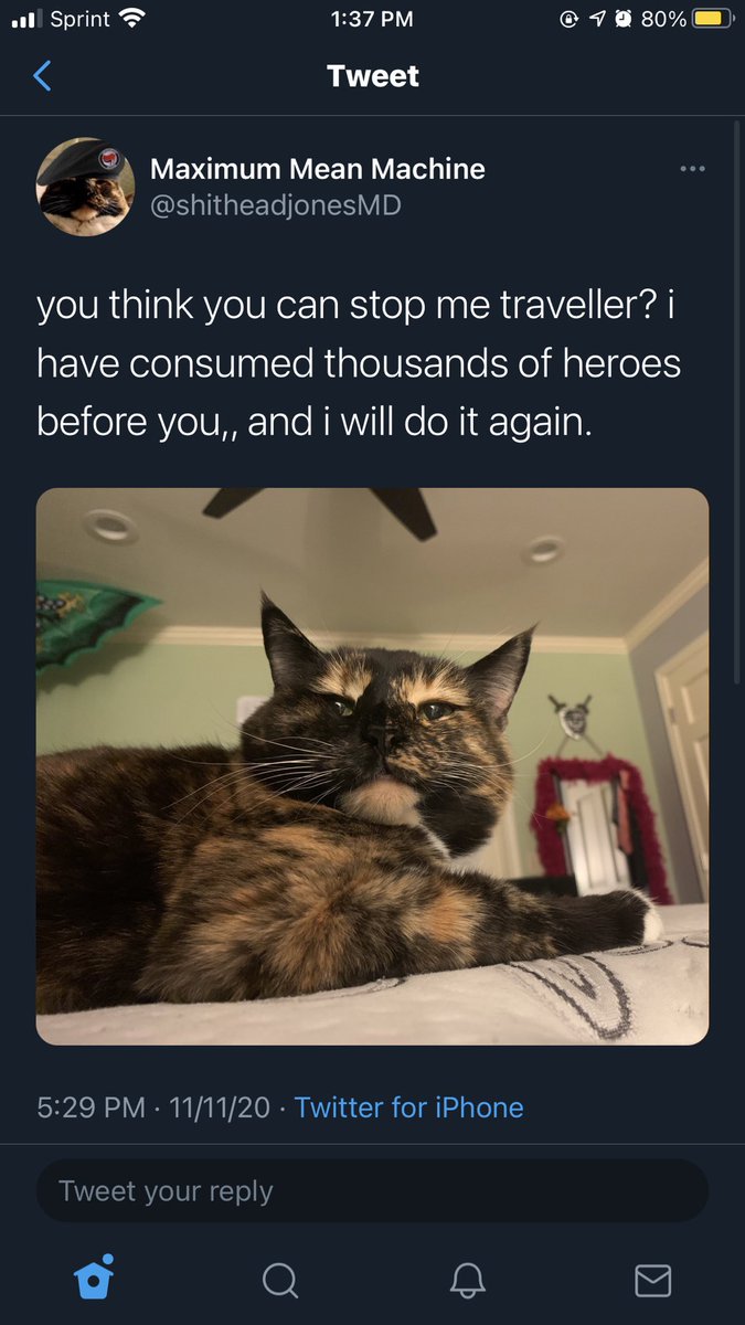 I will now be making a thread of my favorite tweets of all time.p.s. they are literally all from  @shitheadjonesMD and  @gayIuIu amen