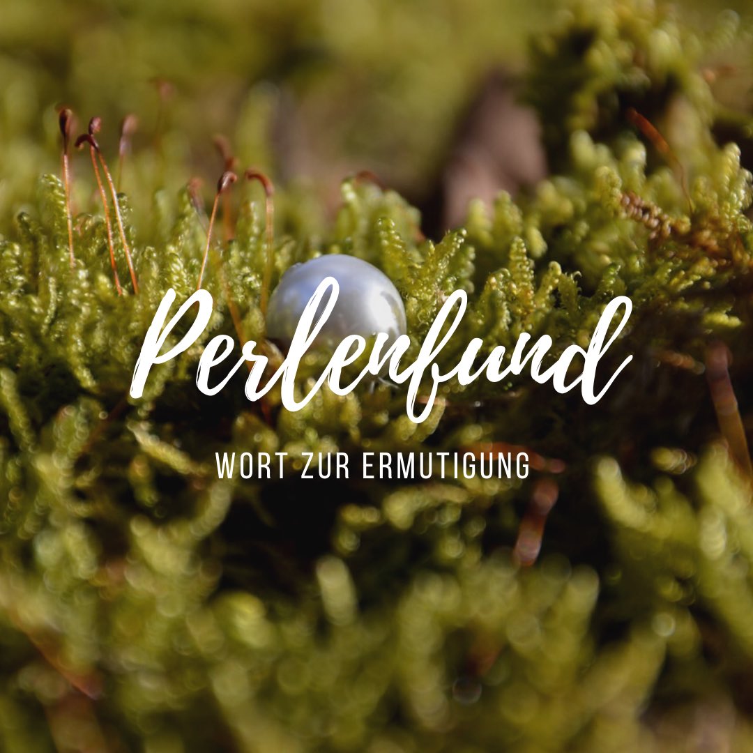 Auch in schwierigen Zeiten, in denen scheinbar vieles sinnlos erscheint, lassen sich „Perlen“ finden. Solche Perlen des Tages können ein Lächeln sein, was einem guttut. Jeder „Perlenfund“ ist ein Hoffnungsschimmer in schwierigen Zeiten. 
#evangelischinniederbayern #elkb