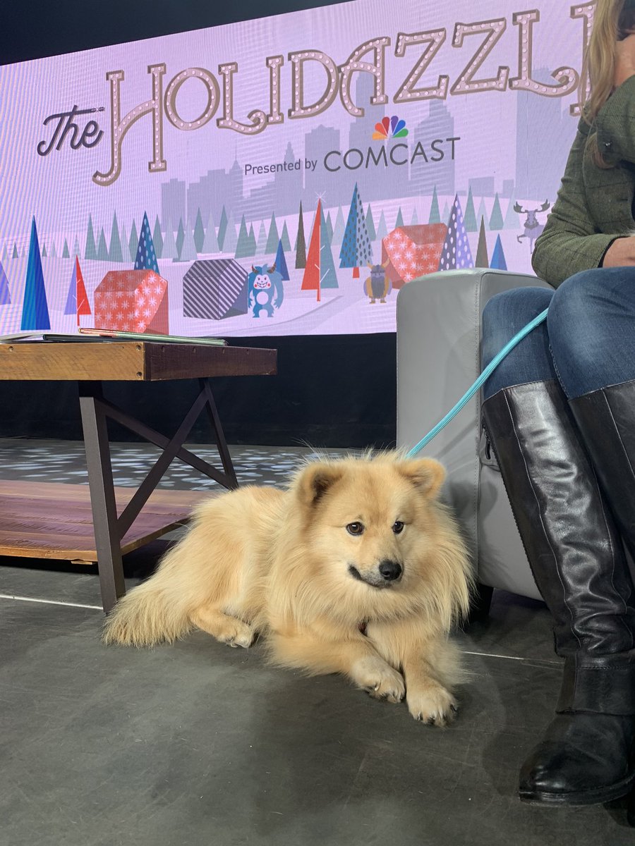 Holidazzle's tweet photo. A few behind the scenes looks at filming The #Holidazzle Show presented by @ComcastMSP! We look forward to you joining us for this virtual experience this holiday season. @MplsDowntown More info soon on https://t.co/hEBcp8i4Ox https://t.co/npfohvc6Ex