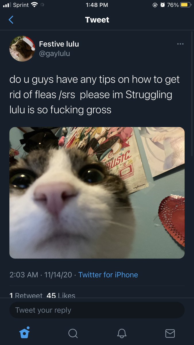 okay this one is  @ImmPsycho