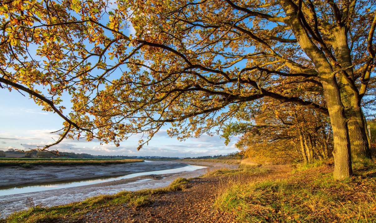 ArcariaFS's tweet photo. @WivenhoeForum  A photo I took on a lockdown walk in Wivenhoe. Definitely worth going out for! https://t.co/XpEMomWTws