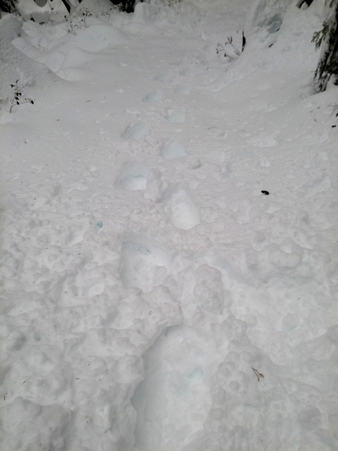 MikeHanafin's tweet photo. Visited some snow at Goldie Lake on Mt. Seymour. They had 50-60 cm Thursday/Friday. Broke trail in knee-deep snow on Perimeter trail. Even snowshoes were post-holing. Beware if you are thinking of heading up the mountains--be properly equipped! https://t.co/u2PJvtDbZQ