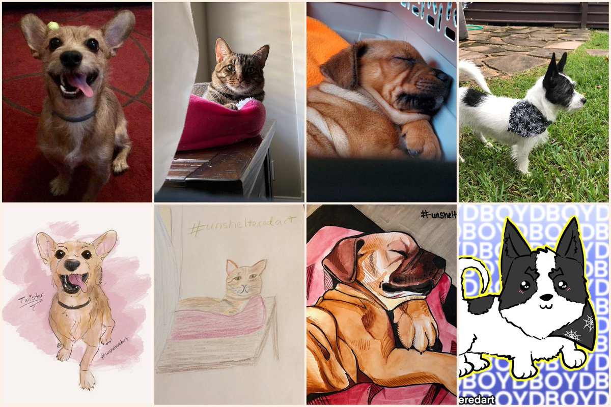 friends for life animal rescue