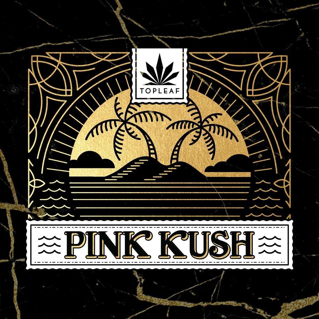 FarmCannabis's tweet photo. ⚡Bubba Pre-Rolls | THC: 17-26%  CBD: 0-1.99%

https://t.co/kxe5aIDOkh

⚡Pink Kush Pre-Rolls | THC: 18-26%. CBD: 0-1%

https://t.co/GZEysgoaO7

@TopLeafCan 

#TheOriginalFARM #Cannabis #Marijuana #Weed #TopLeaf https://t.co/Rj8qFp7YAv