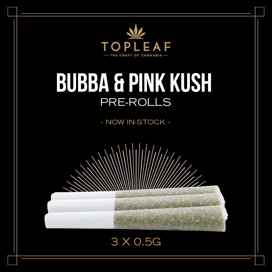FarmCannabis's tweet photo. ⚡Bubba Pre-Rolls | THC: 17-26%  CBD: 0-1.99%

https://t.co/kxe5aIDOkh

⚡Pink Kush Pre-Rolls | THC: 18-26%. CBD: 0-1%

https://t.co/GZEysgoaO7

@TopLeafCan 

#TheOriginalFARM #Cannabis #Marijuana #Weed #TopLeaf https://t.co/Rj8qFp7YAv