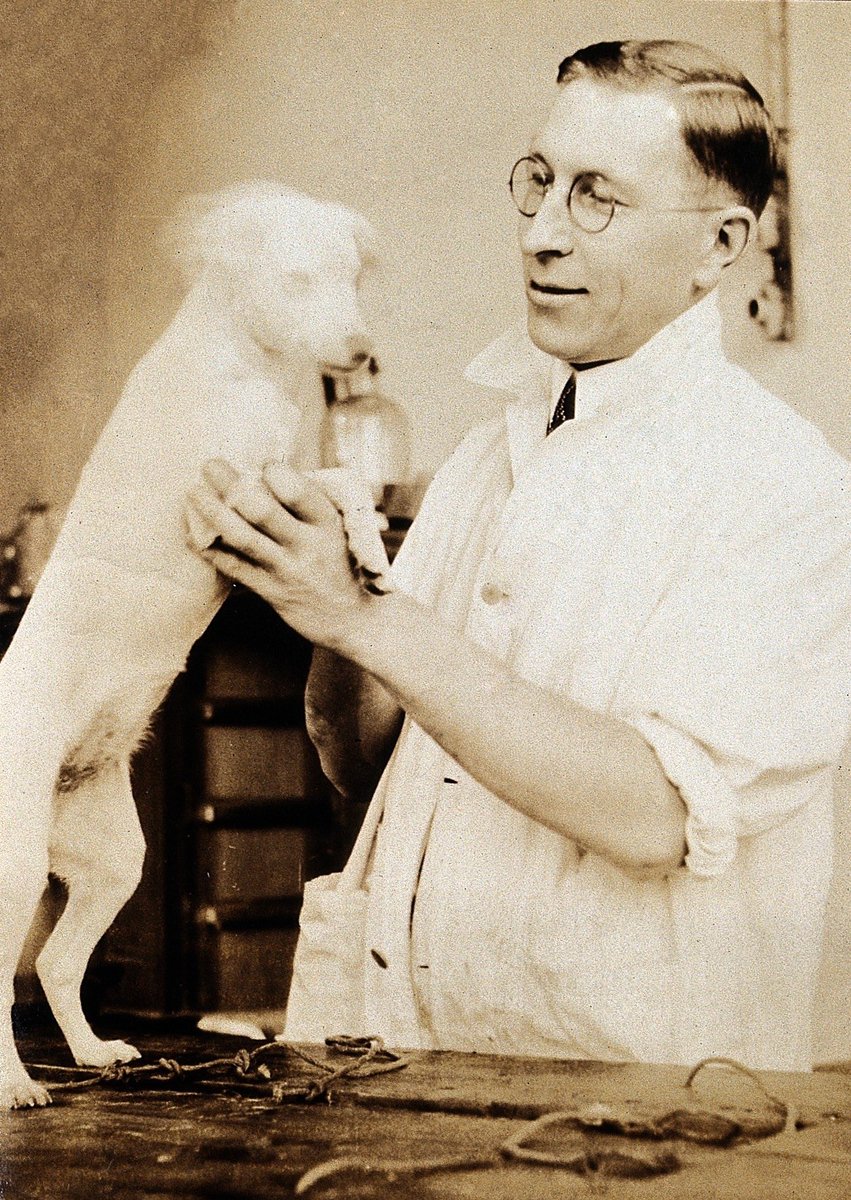 oldcanadaseries's tweet image. Sir Frederick Grant Banting was born on this day in 1891 in Alliston, Ontario.  His co-discovery of insulin would garner him a Nobel prize and a lasting effect on medicine.