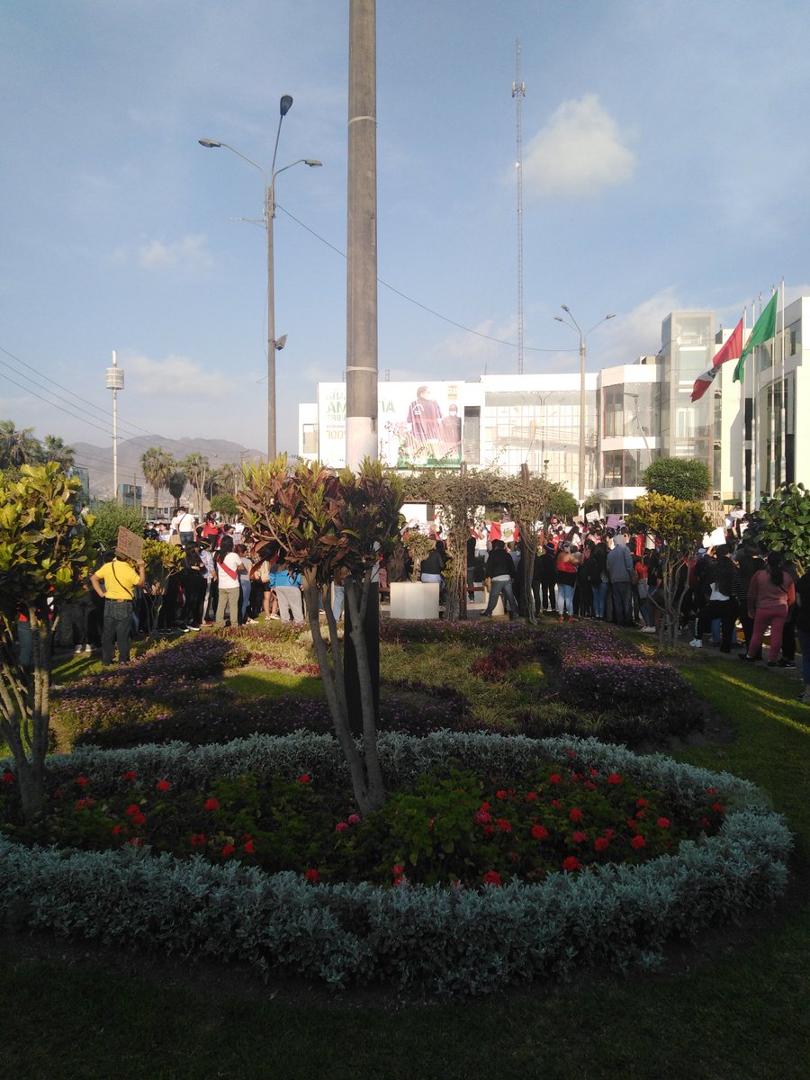 PercyVitor's tweet image. Los olivos empezando la marcha