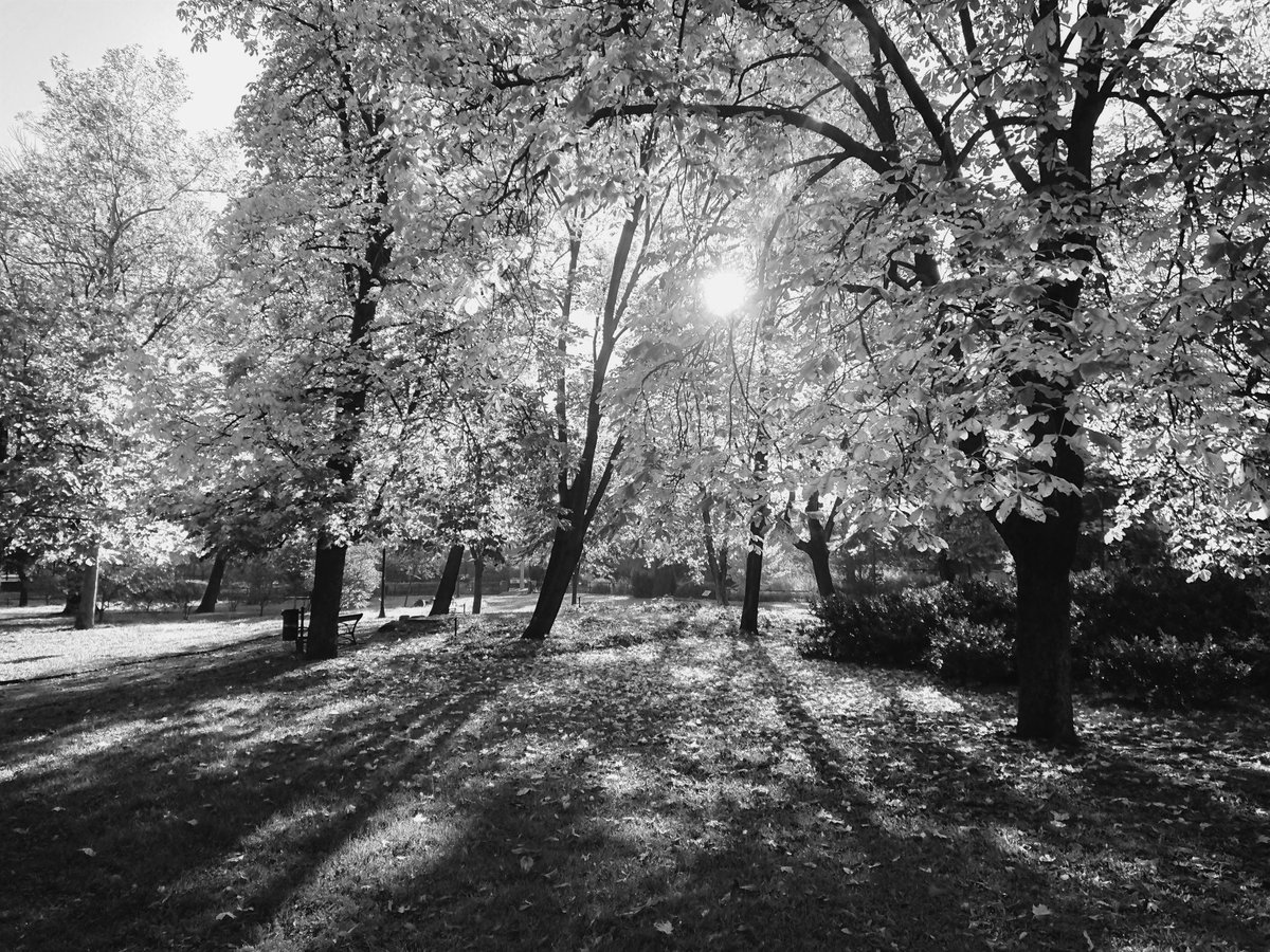 chrome.gram tweet media