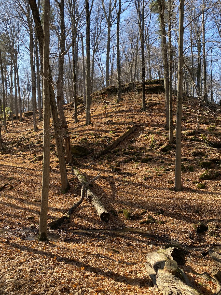 janemwilson's tweet photo. Another beautiful day for a hike in Dundas Valley where the trees are now bare but still pretty. Excited to see it in winter too. Trail also now open to #ShermanFalls https://t.co/ll0oMfLzAi