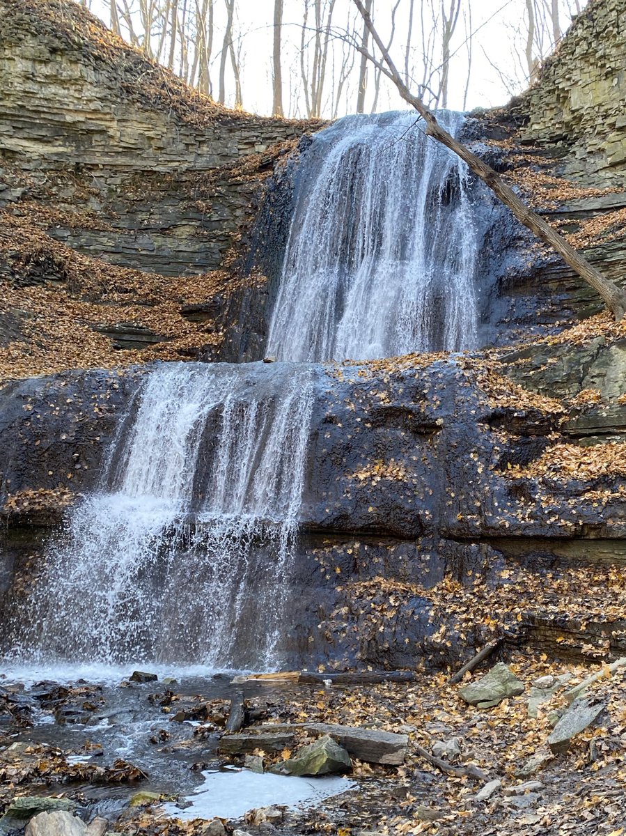 janemwilson's tweet photo. Another beautiful day for a hike in Dundas Valley where the trees are now bare but still pretty. Excited to see it in winter too. Trail also now open to #ShermanFalls https://t.co/ll0oMfLzAi