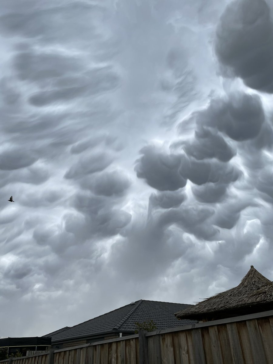 Amazing mammatus clouds right now in Sunbury, Victoria <a href="/JaneBunn/">Jane Bunn</a> <a href="/iCyclone/">Josh Morgerman</a> <a href="/VicStormChasers/">Victorian Storm Chasers</a> <a href="/StormHour/">#StormHour</a> <a href="/StormchaserUKEU/">WEATHER/ METEO WORLD</a>