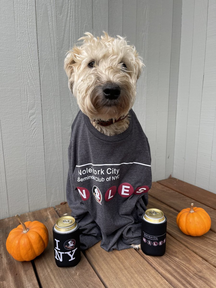 FSUnyc's tweet photo. Gameday! Our barketing department just wants to remind everyone that we have new koozies and long sleeve subway shirts that will keep your arms and paws warm all fall y'all. Order today at https://t.co/olU9trFYoE! #NoleYorkCity #FSU #Noles #NYC #BeatThePacks #DogsofFSU π’π½ππΆπΎ https://t.co/GcrR1pNjrI