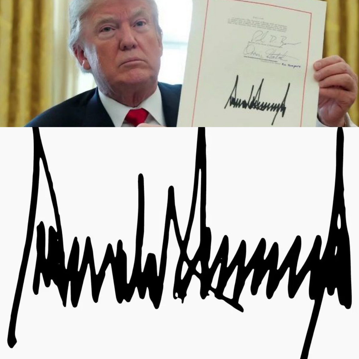 Dude, your own signatures don’t match. #Election2020results #Recount #TrumpIsALaughingStock