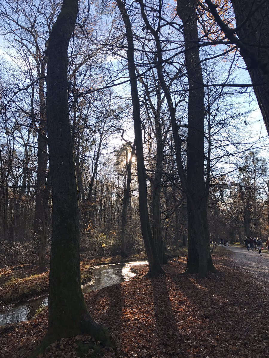 BitteMeer's tweet photo. A sunny November Day im Nymphenburger Schlosspark ☀️ so ist der Herbst toll! https://t.co/tTqlF4zetM
