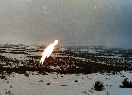 serotonin_lacc's tweet image. i wish it was me