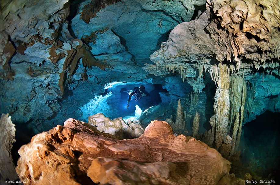Ericdjtrump__'s tweet photo. Para cerrar por hoy: Un grupo de buzos descubrió en el Parque Natural Choco de la provincia dominicana de Puerto Plata la cueva submarina más grande de la isla de La Española. @Hernani2020 @ginette_bj @EuricSanti @MTurismoRD @JosePaliza @marcapaisrd @ambienterd #MarcaPaísRD https://t.co/d2eVvTCdAn