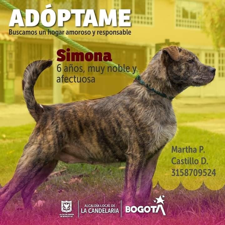 @Alcandelaria_'s photo on Simona