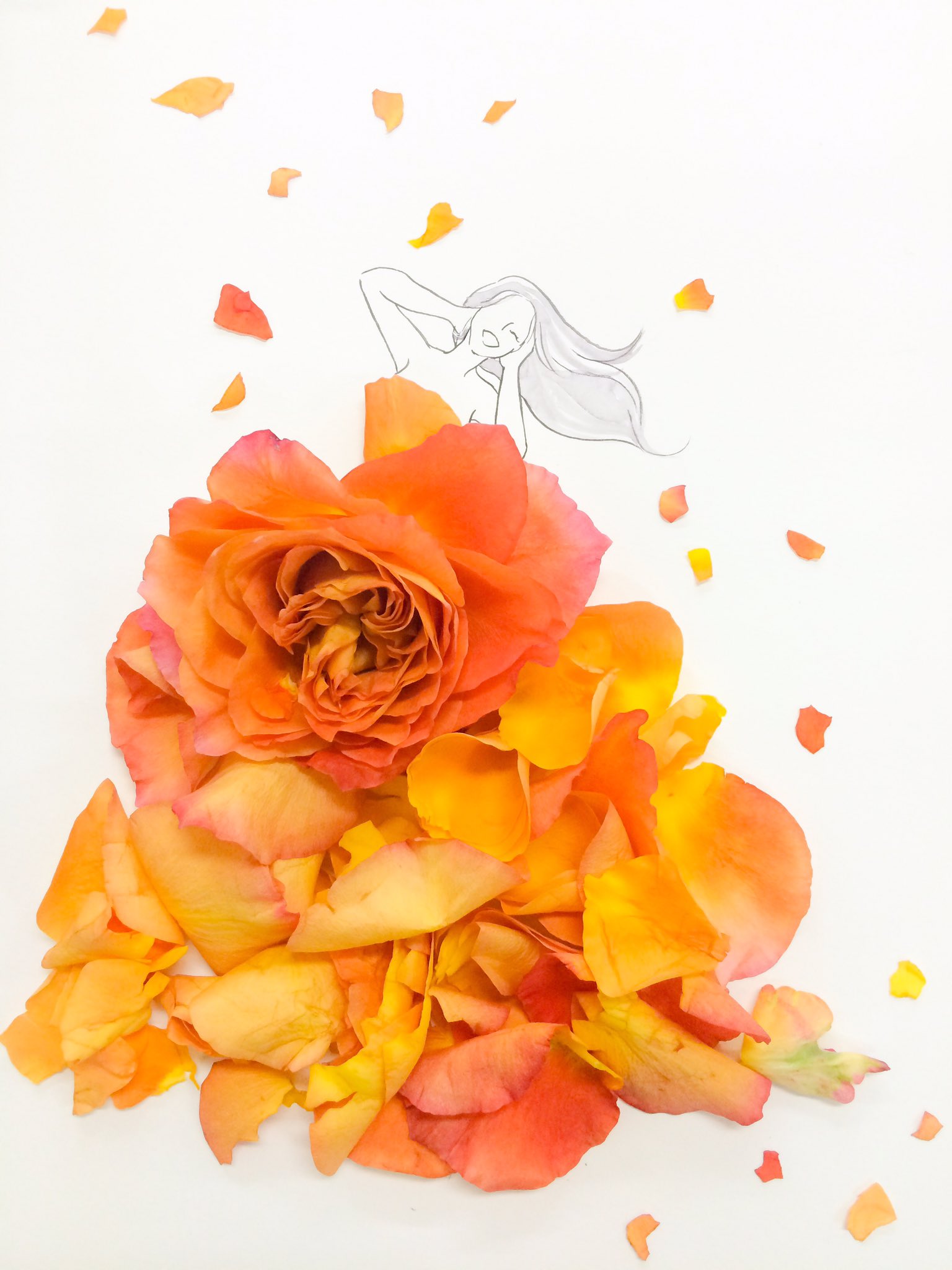 はな言葉 葉菜桜花子 新作ドレスできました きょう11月15日は 七五三 昆布の日 きものの日 かまぼこの日 のど飴の日 予防争族 相続 を考える日 いい遺言の日 生コンクリート記念日 口腔がん検診の日 狩猟解禁日 誕生花はオレンジローズ 花言葉は 魅惑