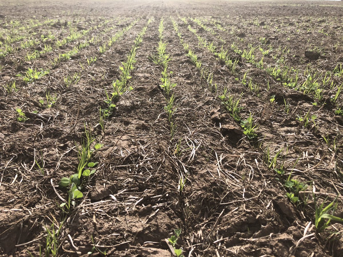 Johnny Gardner tweet media