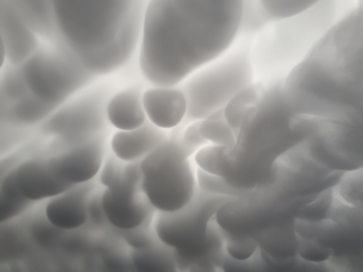 MatFitz1975's tweet photo. Check out these cloud formations over Blackwood this morning. I've never seen clouds like them before. #2020apocalypse @JaneBunn #janesweather https://t.co/NnSKBsNSwM