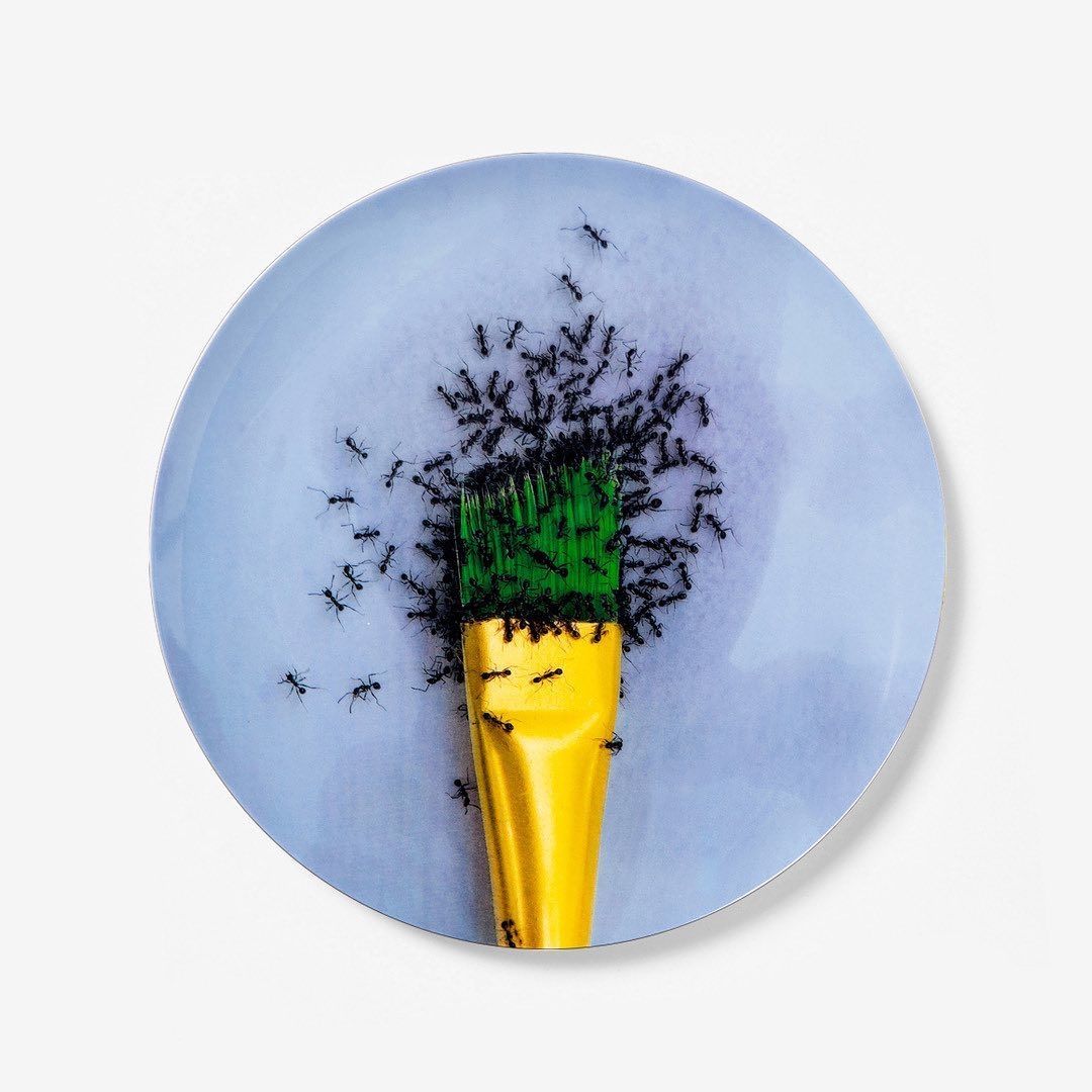 MarianGoodman's tweet photo. #LawrenceWeiner and #MaurizioCattelan have joined #ArtistPlateProject, an initiative to benefit @NYHomeless, creating limited-edition plates produced by @TheProspectNY, the sales of which can feed 75 homeless New Yorkers.

Live: Monday at 9 am EST https://t.co/UijXo58APU https://t.co/YJc8d3RwLi