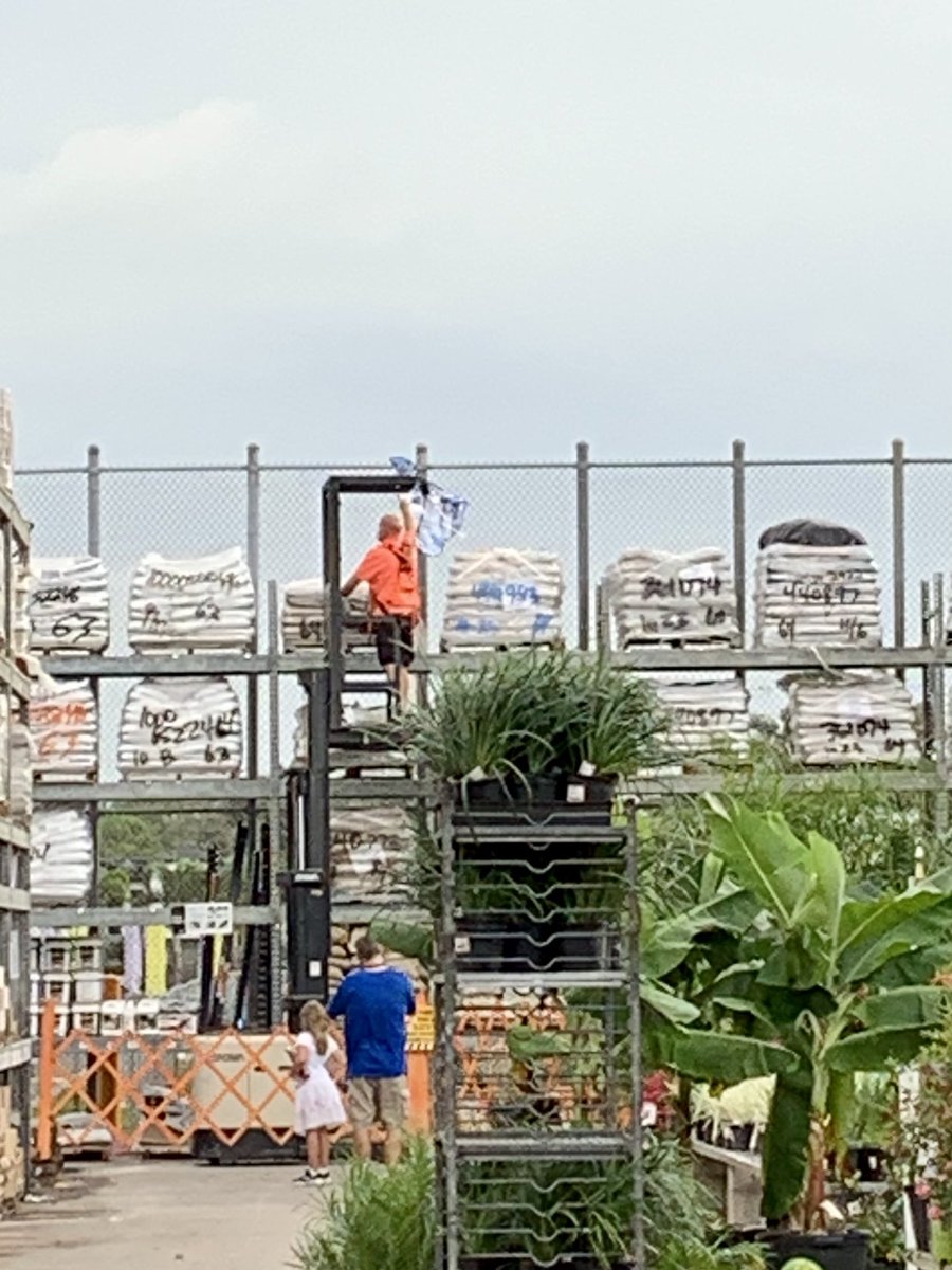 Now that’s going “above” and beyond to help our customer!  Fritz caught in the act of saving a kite today🪁<a href="/JimJimenez6304/">Jim</a>⁩ ⁦<a href="/pattifulkerson1/">Patty Fulkerson</a>⁩ ⁦<a href="/CrickettSurls/">Crickett Surls</a>⁩ ⁦<a href="/yardleyiv86/">William Yardley IV</a>⁩