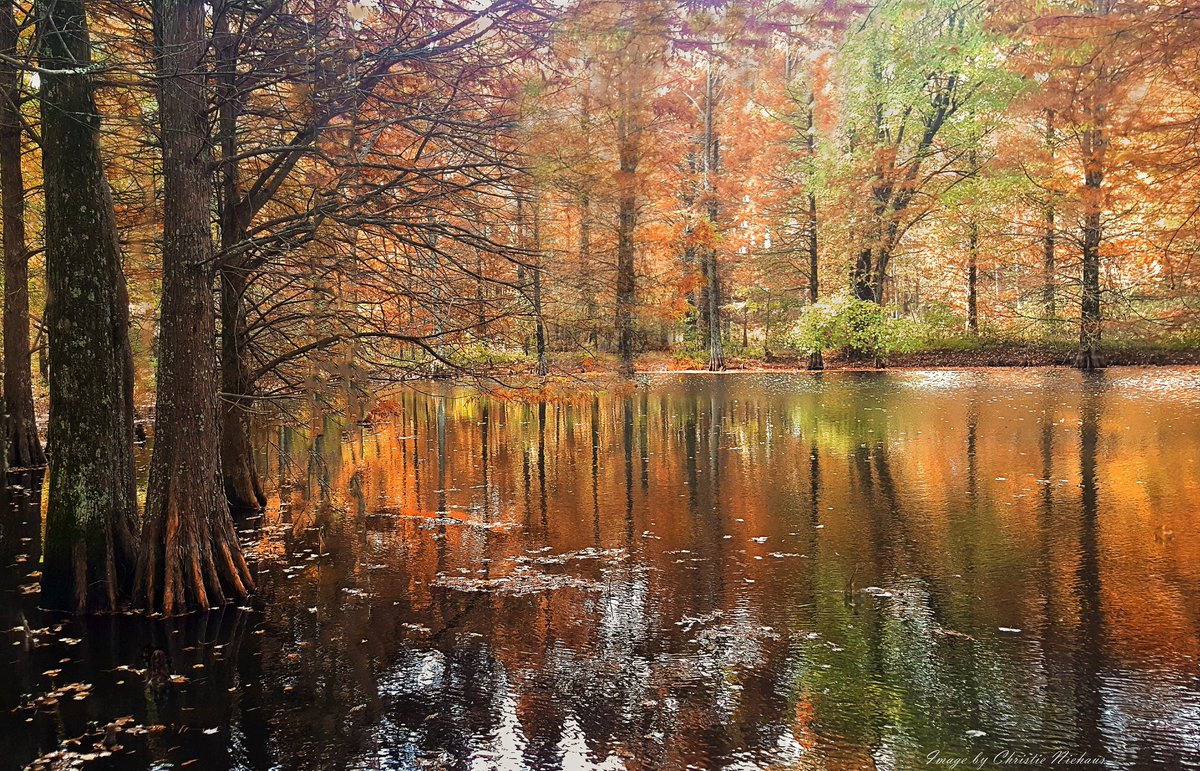 ScribblesSmiles's tweet photo. Midwest colors. #autumnalcolors #outdoorphotography https://t.co/rVgII7Xra7