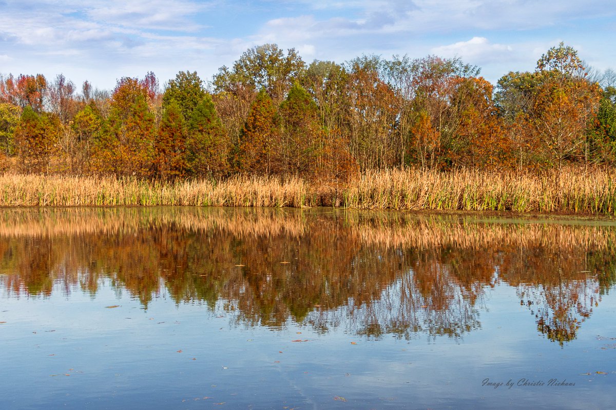 ScribblesSmiles's tweet photo. Howell Wetlands. #autumnalcolors #midwestliving https://t.co/xXFaJOxknP