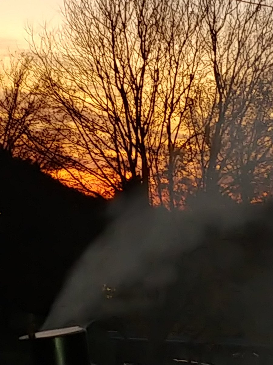 hbntn's tweet photo. Smoking a little meat as the sun goes down https://t.co/DdYjq4ezPy