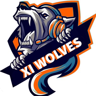 XI WOLVES eSPORT tweet media