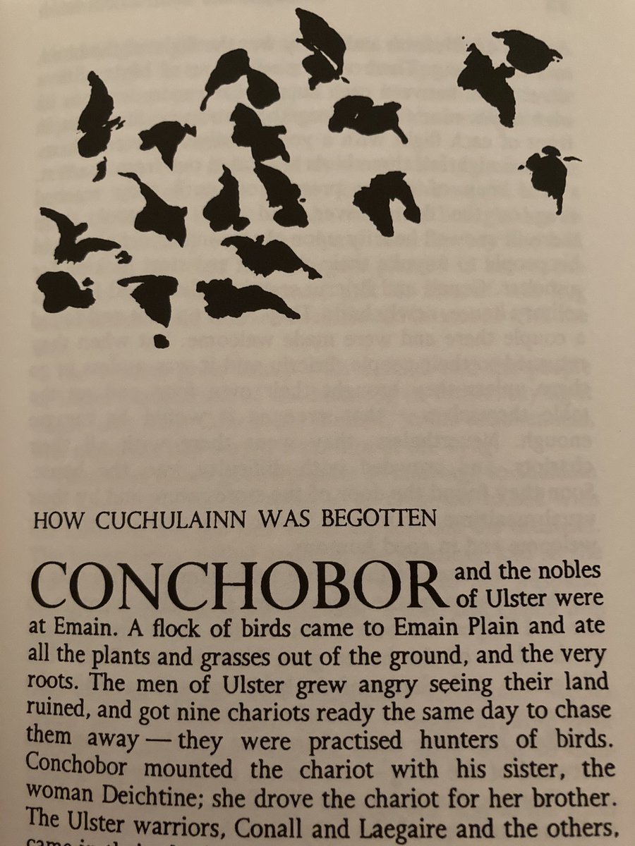AlexCalling79's tweet photo. Oh the beauty and the pain #gaeilge @antainbot #antain https://t.co/CiEbvrTA56