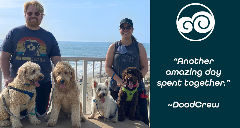 DoodCrew's tweet photo. "Mom, the hummingbirds are at it again, they are trying to take all your juice in that hanging red thing.  Come quick!" ~Enzo
#doodcrew #barkthevote #dogsforbiden #dog #dogs #pets #petstagram #labradoodle #bestdog #dogsoftwitter #pawsup #DemocracyWins https://t.co/6P9FPyXWjR