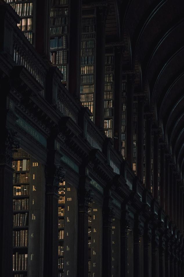 Featured image of post Dark Academia Library - Dark academia is an aesthetic and subculture dedicated to the pursuit of knowledge.