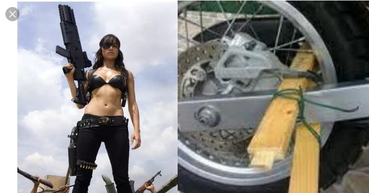 Lucho Salazar tweet media