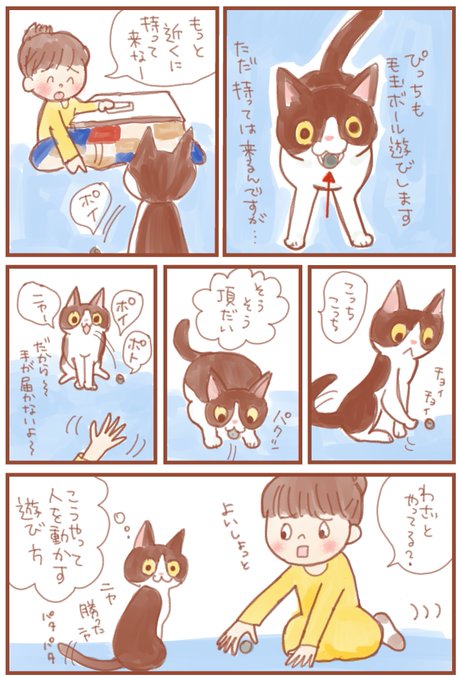 毛玉ボールのtwitterイラスト検索結果 毛玉ボールのtwitterイラスト検索結果