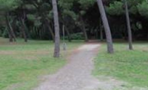RomeiAlice's tweet photo. along the coast in Marina di Massa there are shady areas where you can relax during the hottest summer days, such as the Ugo Pisa park.
a park suitable for adults and children, equipped with games and benches in the shade where you can stop and enjoy the day relaxing⌛️🏞 https://t.co/Zx5In7jCTw
