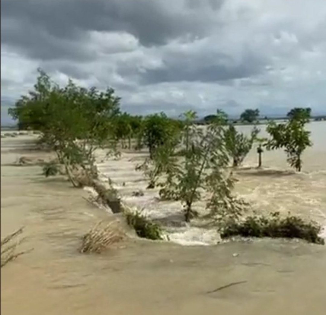 MrFrankBaraan's tweet photo. GOOD GOD!
This has been one deluged area after another.
1st, Marikina; then Cagayan, Isabela, & Tuguegarao; & now, the province of #PampangaNeedsHelp.
And as situations worsen, as people's anxieties heighten, Duterte's missing-in-action hiatus lengthens.
2020, ANG SAKIT MO.๐ https://t.co/ev4iCyerXL