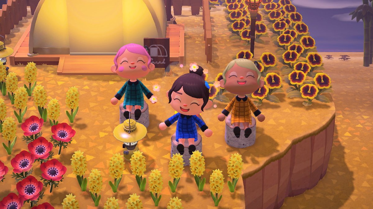 iNeedMyMTV's tweet photo. #AnimalCrossing #ACNH #NintendoSwitch https://t.co/4tdmf5Hl9w