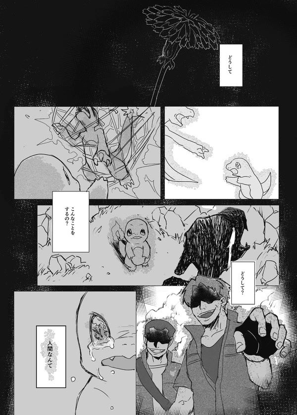 ポケモン ダンデとリザードンの出逢いの物語 Pocoの漫画