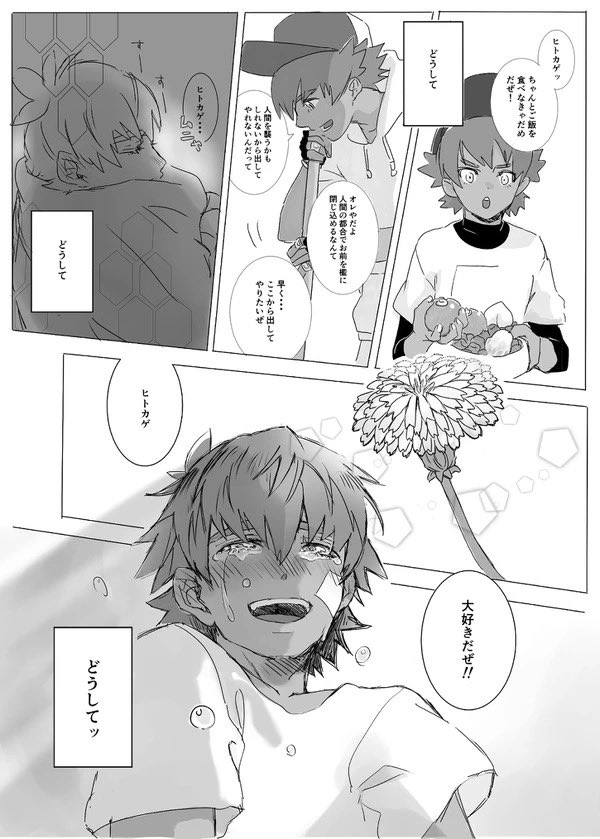 ポケモン ダンデとリザードンの出逢いの物語 Pocoの漫画