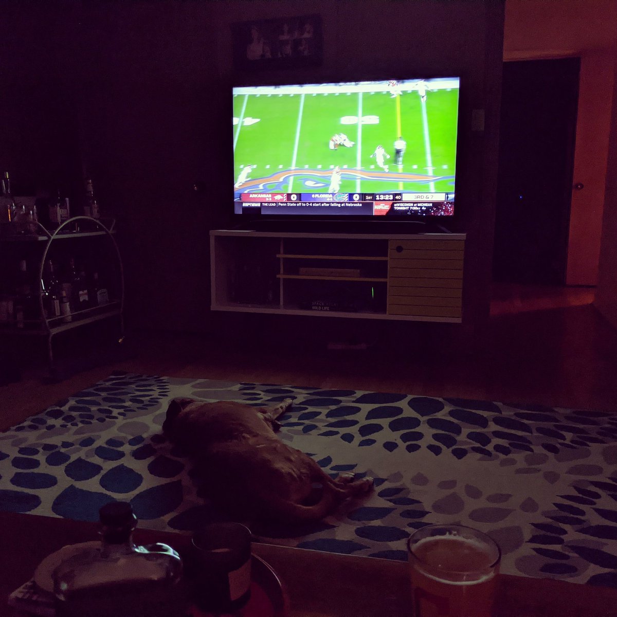 winelibrarian's tweet photo. Saturday night. #GoGators #UFvsUA https://t.co/GuT3xAvIFP