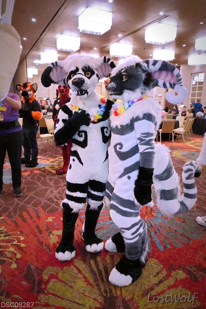 LostWolf321's tweet photo. It's @Shawshank_Crux & @Bindi_Crux @BiggestLittleFC
#BLFC19 #BLFC2019 https://t.co/bIFtN1Uv8V