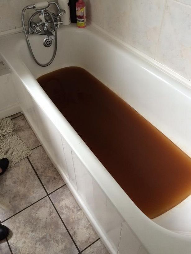 sanrioIuver's tweet photo. jessi’s bath water https://t.co/OKNAuoUwWS