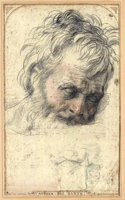 Renacentista3's tweet photo. Study for the Head of Saint Joseph, c. 1527–28, #AndreaDelSarto. Private Collection https://t.co/DHrZ96iefX
