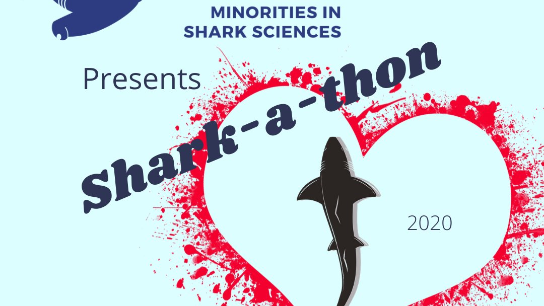 We are so excited to announce the 1st Annual MISS Shark-a-thon! This #GivingTuesday we are raising money to host a FREE summer camp to introduce teens to the wonderful world of marine science. There will be sharks and shark facts galore. Visit go.rallyup.com/shark-a-thon/ to register
