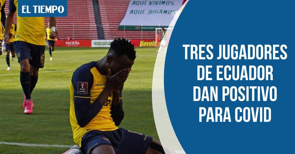 ELTIEMPO's tweet photo. La Federación Ecuatoriana de Fútbol confirmó que tres jugadores dieron positivo para covid-19 y no estarán en el partido contra Colombia ► https://t.co/6taSqErSgG

#ColombiaRumboACatar https://t.co/yIz2GlDTqT