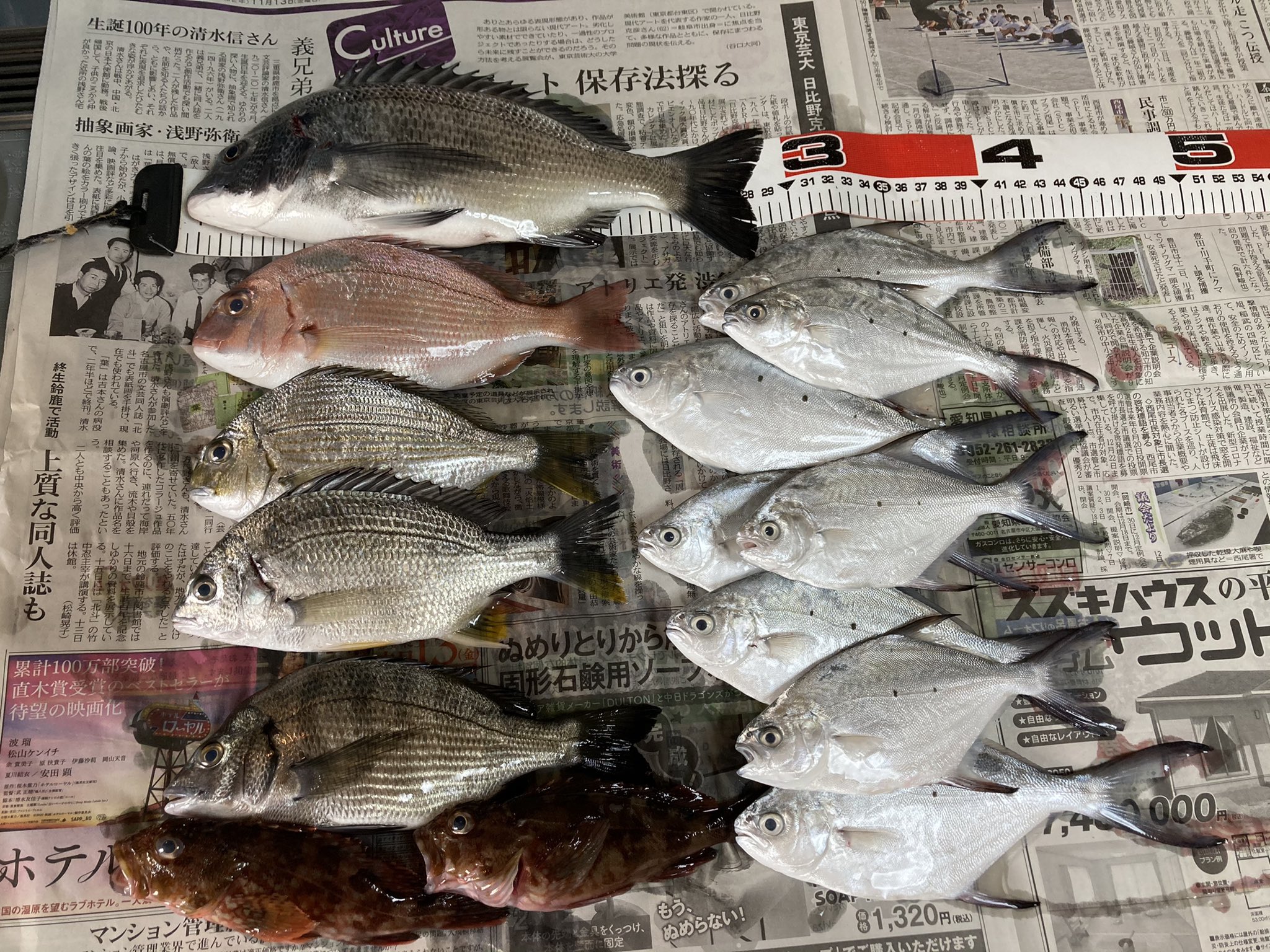 Bara 伊良湖 サーフから赤羽根に移動しアジを狙うも波が高くなんともなりません 航路側に移動するも何も当たらないのでテトラに戻り 沖できたと思ったら黒鯛でした 水温19度 大潮 小さいながらも赤 黒 黄色の鯛とヘダイがきました T Co