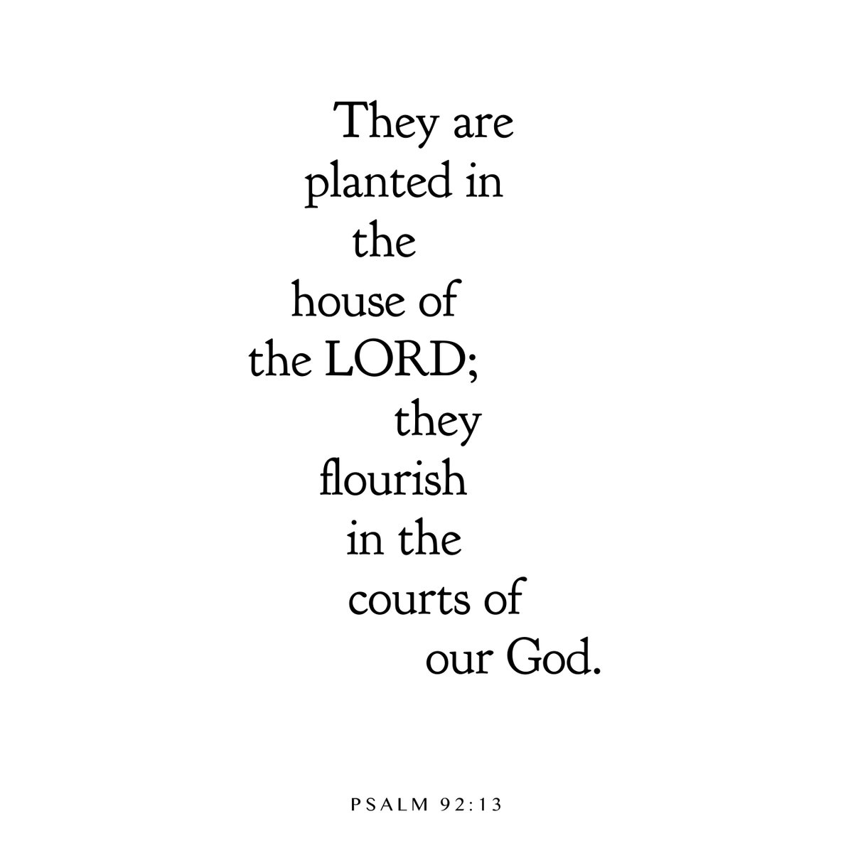 JonathanJerez's tweet photo. Stay planted in His house. https://t.co/OcdHLZcxR9