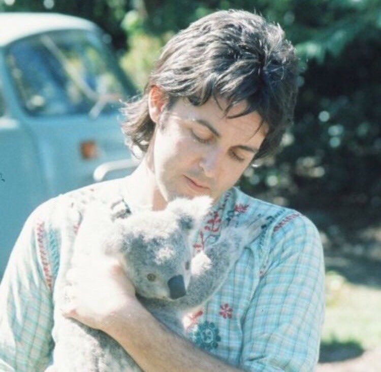paul mccartney with various animals, a thread 